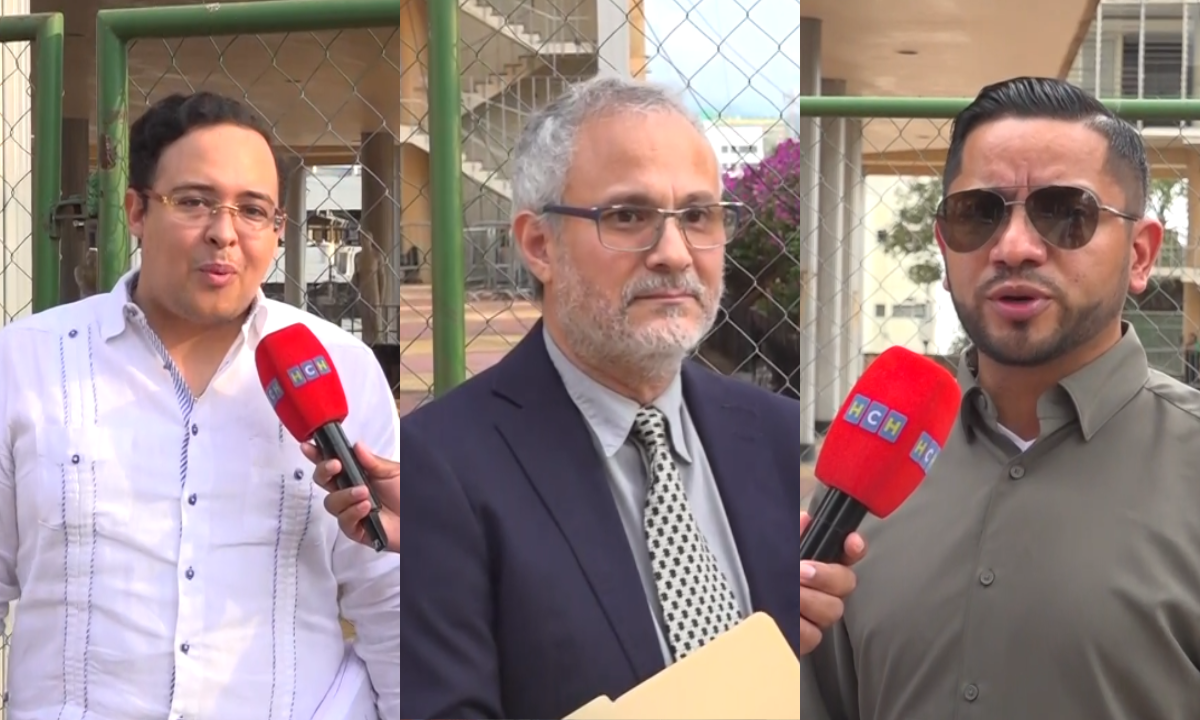 Entre los autopostulados Eduardo Fuentes, Germán Leitzelar y Mario Portillo, buscan cargos en el Consejo Nacional Electoral y el Tribunal de Justicia Electoral