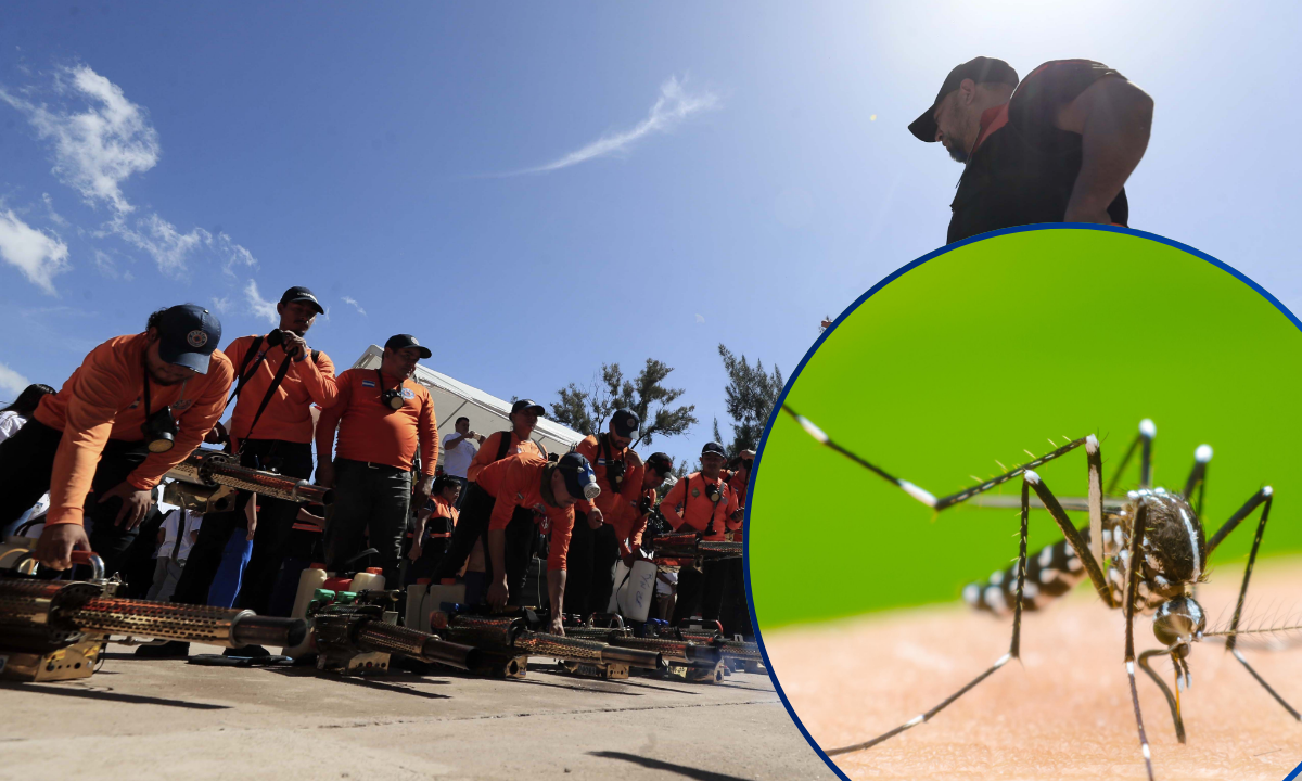 Honduras reporta más de tres mil casos sospechosos de dengue y refuerza las medidas de prevención