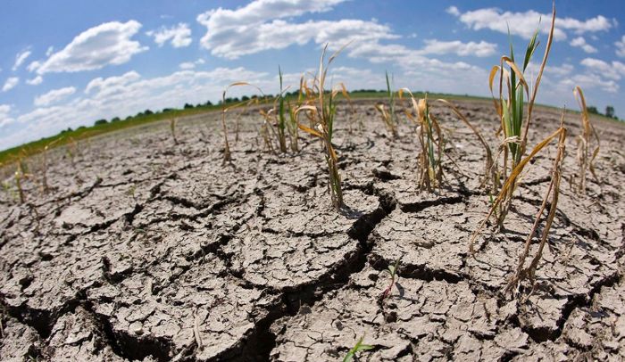 Sequía y calor extremo intensifican la crisis alimentaria en el sur de Honduras