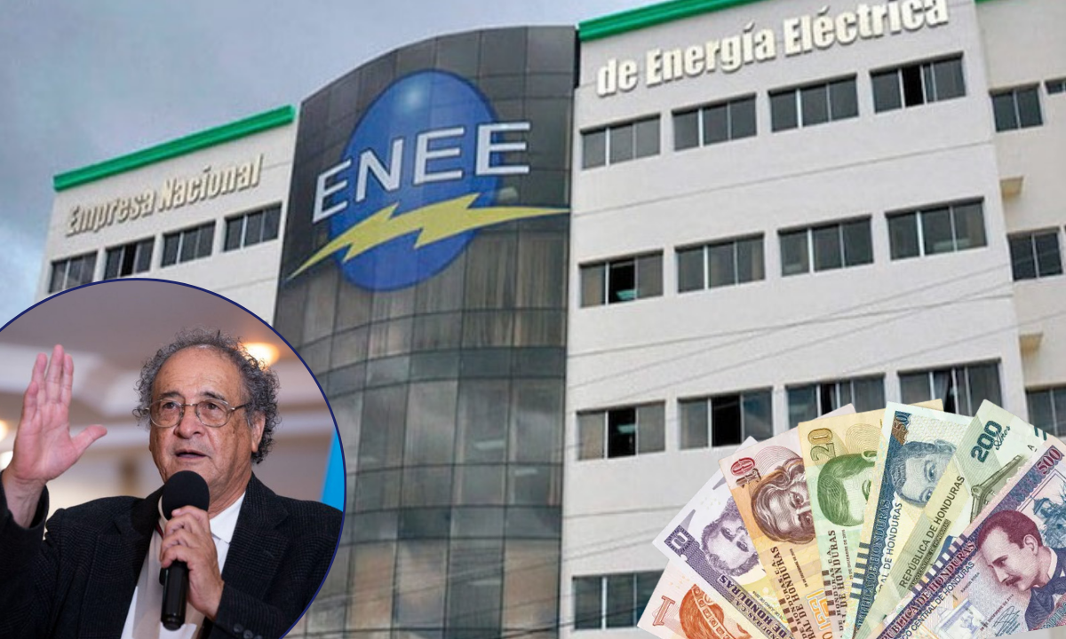 Nelson Ávila afirma que la ENEE no se solucionará con bonos; propone reevaluar sus activos de la institución