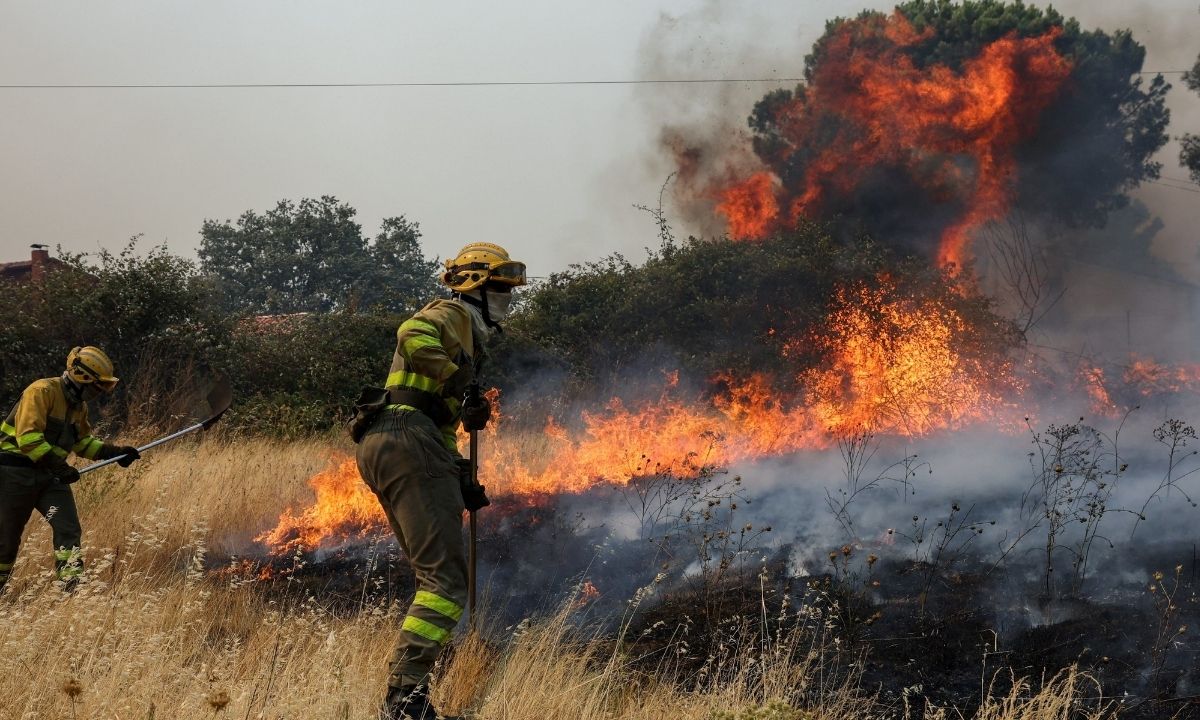 Incendios forestales en España: Madrid y Ávila ante una crisis nacional sin precedentes