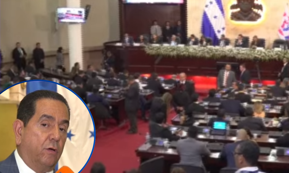 Rivera Callejas exhorta a la bancada Liberal a presentar una alternativa ante las reformas de la ENEE