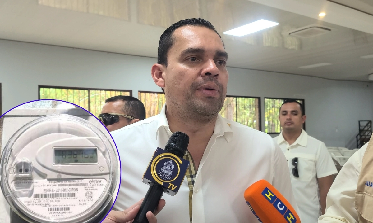 Tomás Zambrano niega que se estén tomando fotos de contadores eléctricos residenciales durante el censo poblacional