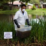 Eliminar criaderos cada ocho días reduce hasta 60% la población del mosquito
