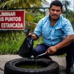 Eliminar criaderos cada ocho días reduce hasta 60% la población del mosquito