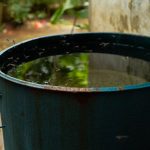 La pila del patio es el criadero de zancudos más común en las casas hondureñas