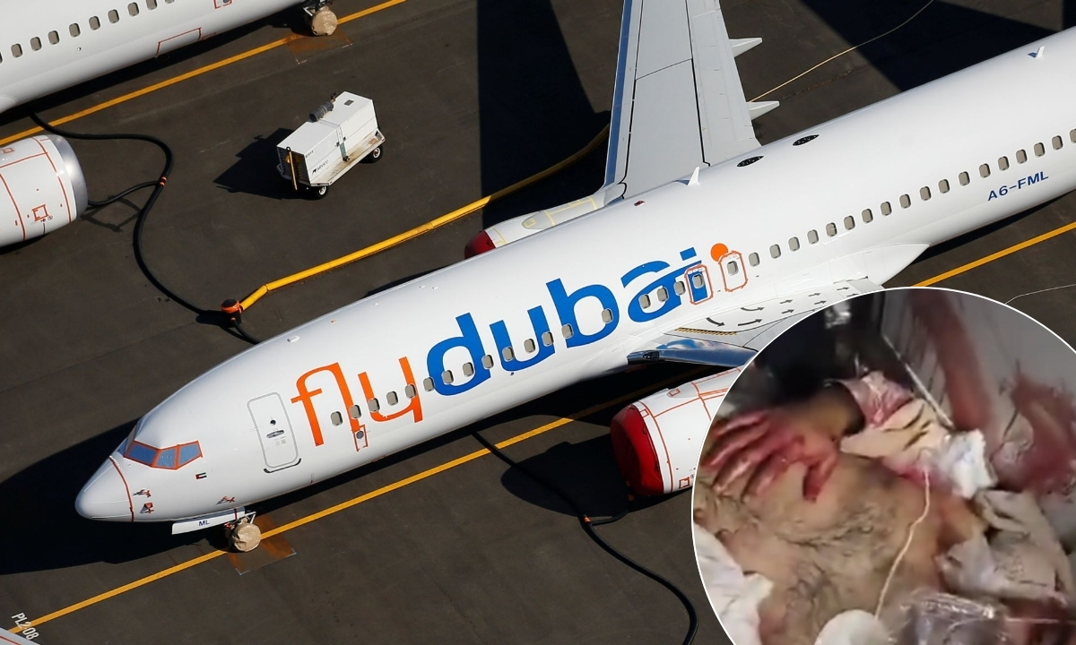 Terror a bordo del vuelo Dubái-Tel Aviv: minutos de gritos, sangre y una picada mortal