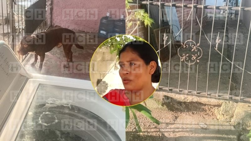 Ataque de pitbull deja sin una oreja a una niña de 11 años al regresar de la escuela en SPS